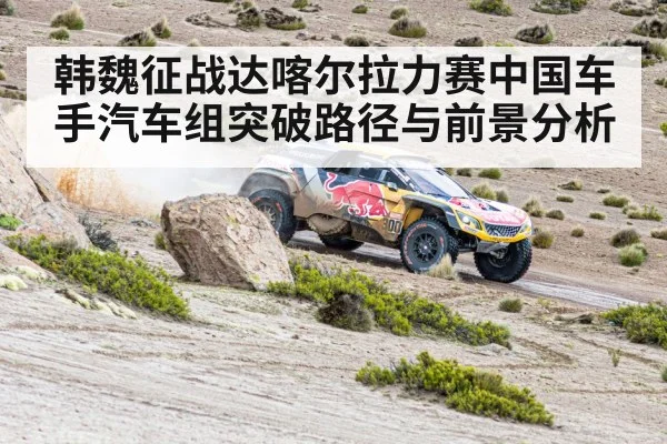 Dakar Rally car desert